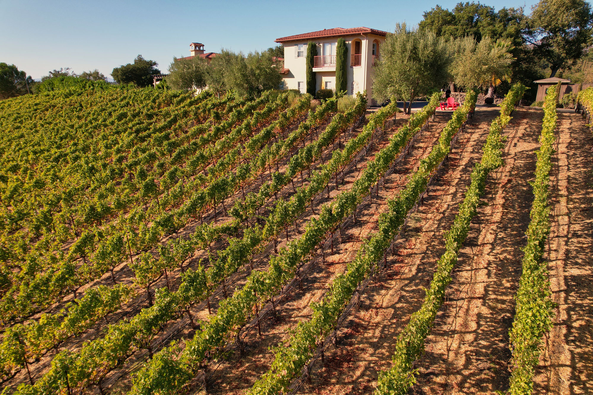 Alluvium Estate Terroir